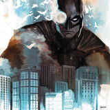 DETECTIVE COMICS #1101 CVR E INC 1:25 STEPHANIE HANS CARD STOCK VAR