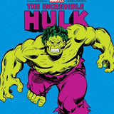 INCREDIBLE HULK MY MIGHTY MARVEL FIRST BOOK HC