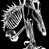 Kroma By De Felici #1 Cvr D 25 Copy Incv De Felici (of 4)