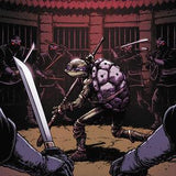 Teenage Mutant Ninja Turtles 2024 #4 Cvr B Burnham