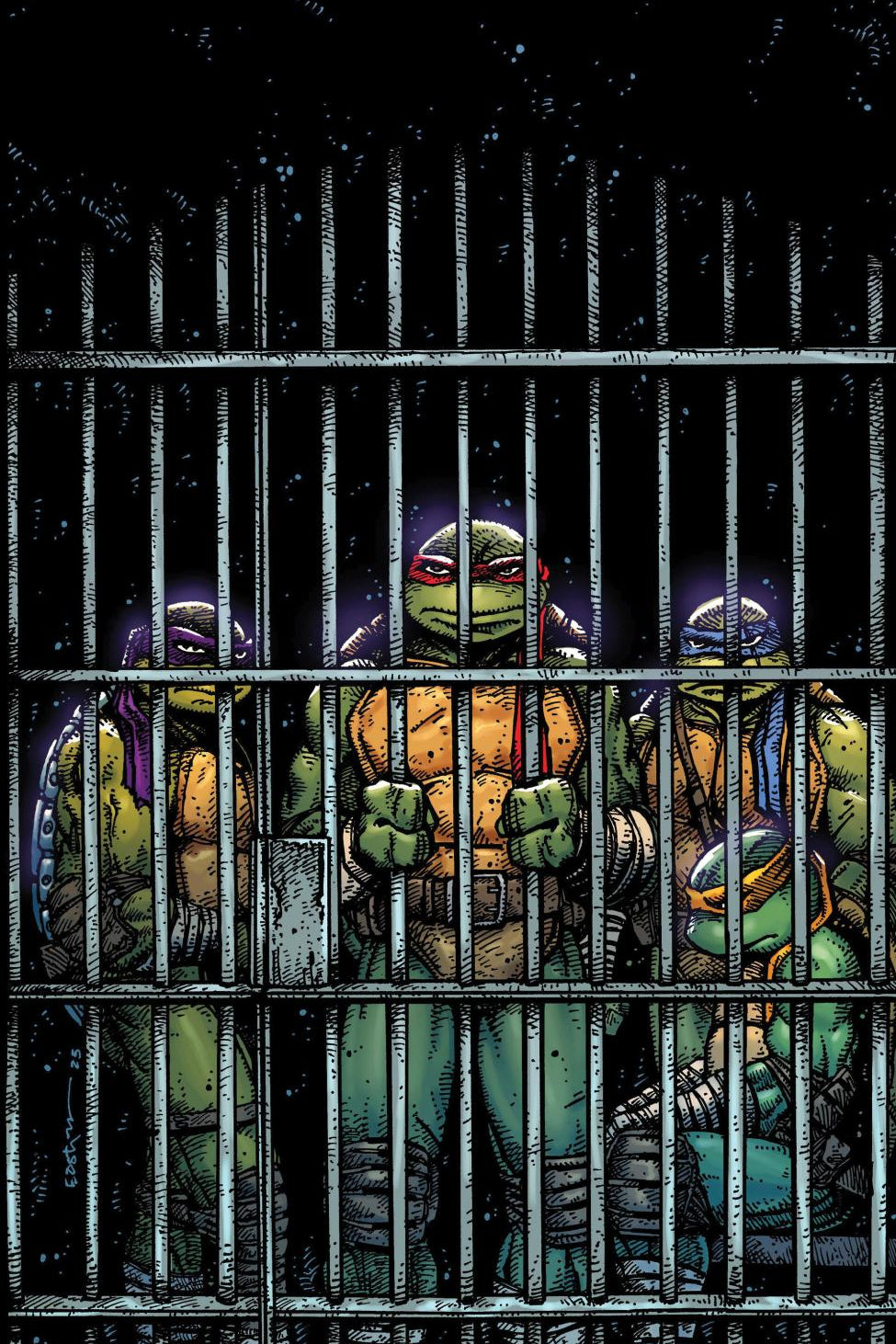 TEENAGE MUTANT NINJA TURTLES #11 VAR RI 10 EASTMAN FULL ART CVR F 1:10 INCV