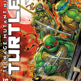 TEENAGE MUTANT NINJA TURTLES #12 VAR D MEYERS CVR D