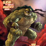 TEENAGE MUTANT NINJA TURTLES BATTLE NEXUS #5 VAR B PE CVR B