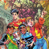 DC K.O. THE KIDS ARE ALL FIGHT SPECIAL #1 ONE SHOT CVR D TODD NAUCK CARD STOCK VAR