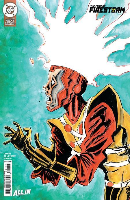 FURY OF FIRESTORM #1 CVR G INC 1:25 JEFF LEMIRE CARD STOCK VAR (OF 6)
