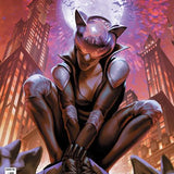 ABSOLUTE CATWOMAN #1 CVR H INC 1:25 MATEUS MANHANINI CARD STOCK VAR (OF 6)