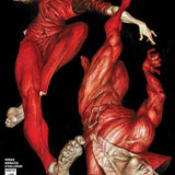 DEADMAN #1 CVR G INC 1:25 MIKE CHOI CARD STOCK VAR (OF 6)