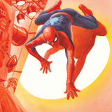 AMAZING SPIDER-MAN #31 ALEX ROSS MARVEL DIMENSIONS VAR CVR C