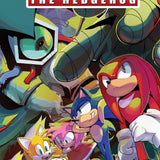 SONIC THE HEDGEHOG #88 VAR B RICHARDS CVR B