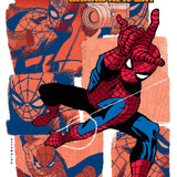 SPECTACULAR SPIDER-MAN BRAND NEW DAY #2 MARK CHIARELLO VAR CVR C