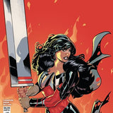 ABSOLUTE WONDER WOMAN #22 CVR B TERRY DODSON CARD STOCK VAR