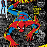AMAZING SPIDER-MAN #100 FACSIMILE EDITION POSTER