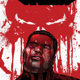 PUNISHER #6 CVR A