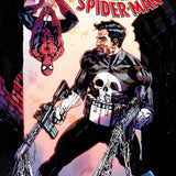 PUNISHER VS SPIDER-MAN #1 CVR A
