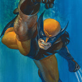 WOLVERINE #23 ALEX ROSS MARVEL DIMENSIONS VAR CVR B