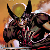 WOLVERINE #23 CAFU VAR CVR C