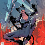 ABSOLUTE CATWOMAN #3 CVR C MAHMUD ASRAR CARD STOCK VAR (OF 6)