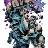 INFERNAL HULK #10 CVR A