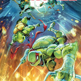 TEENAGE MUTANT NINJA TURTLES #21 VAR D COELLO CVR D