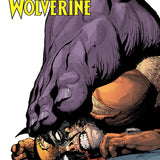 INFERNAL HULK VS WOLVERINE #1 LEINIL YU VAR CVR E