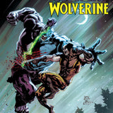 INFERNAL HULK VS WOLVERINE #1 RYAN STEGMAN VAR CVR D