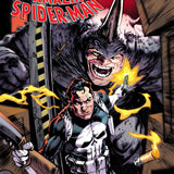 PUNISHER VS SPIDER-MAN #3 CVR A
