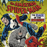 PUNISHER VS SPIDER-MAN #3 ERIK LARSEN VAR CVR C