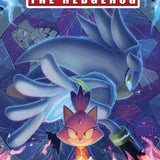 SONIC THE HEDGEHOG #90 COVER A HAINES CVR A