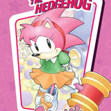 SONIC THE HEDGEHOG AMYS ANNIVERSARY SPECIAL HC