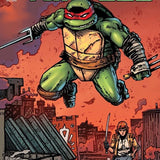 TEENAGE MUTANT NINJA TURTLES #22 VAR B EASTMAN AND BISHOP CVR B