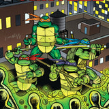 TEENAGE MUTANT NINJA TURTLES #22 VAR D RUGG CVR D