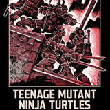 TEENAGE MUTANT NINJA TURTLES THE MIRAGE YEARS 1984-1987--IDW CLASSIC COLLECTIONS TP