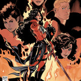 ABSOLUTE WONDER WOMAN #25 CVR C TERRY DODSON CARD STOCK VAR