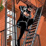 CATWOMAN #92 CVR C CHARLIE ADLARD CARD STOCK VAR BATMAN BAD SEEDS