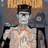 UNIVERSAL MONSTERS FRANKENSTEIN B&W SPECIAL #1 CVR A MICHAEL WALSH (OF 2)
