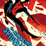 AMAZING SPIDER-MAN #1002 MICHAEL CHO VAR CVR D