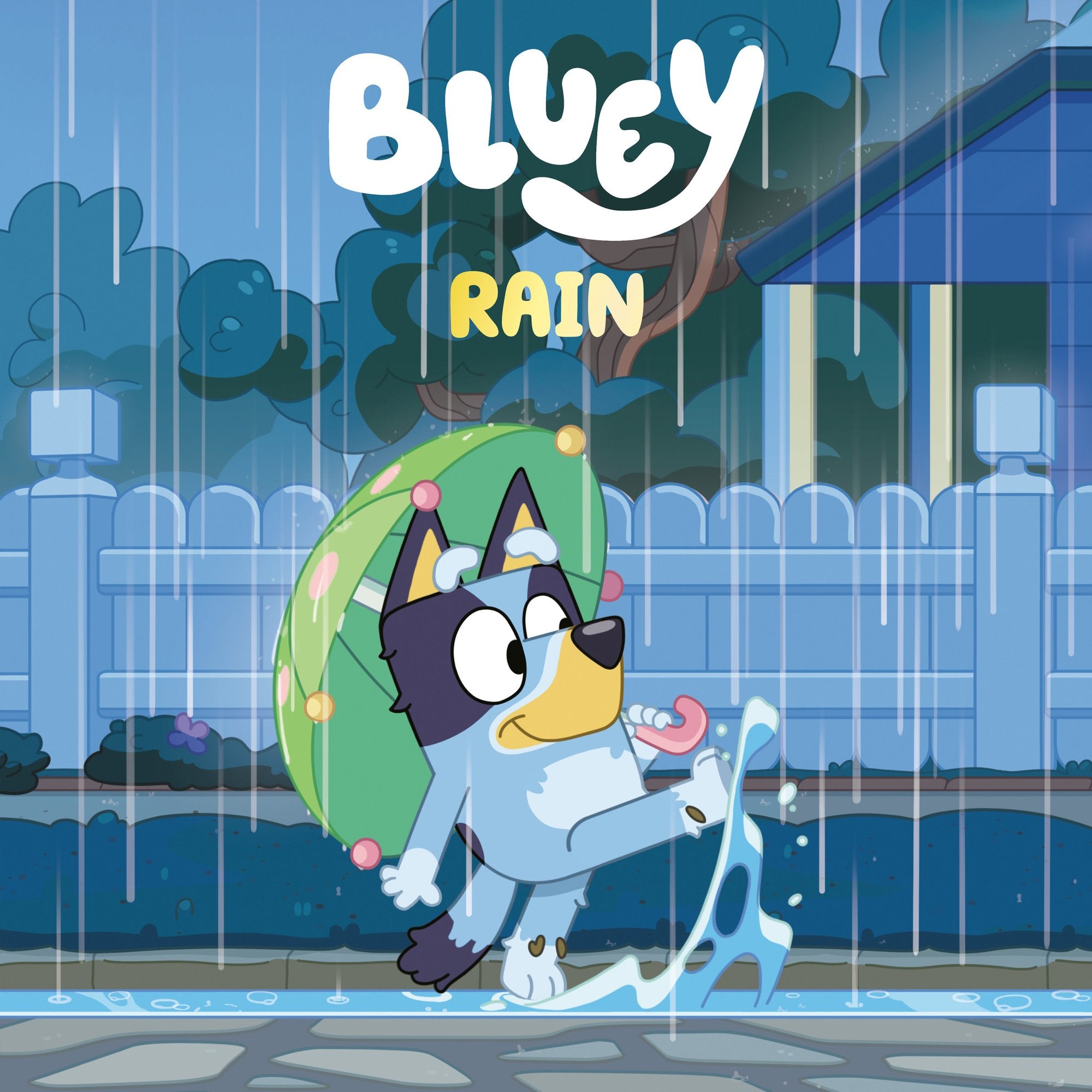 BLUEY RAIN HC