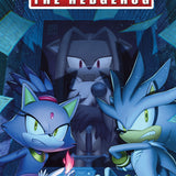 SONIC THE HEDGEHOG #91 COVER A KIM CVR A