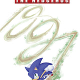 SONIC THE HEDGEHOG #91 VAR B HAINES CVR B
