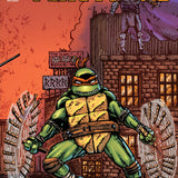TEENAGE MUTANT NINJA TURTLES #23 VAR B EASTMAN AND BISHOP CVR B