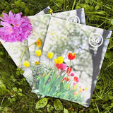 Eighty-Six'd Magazine #11
