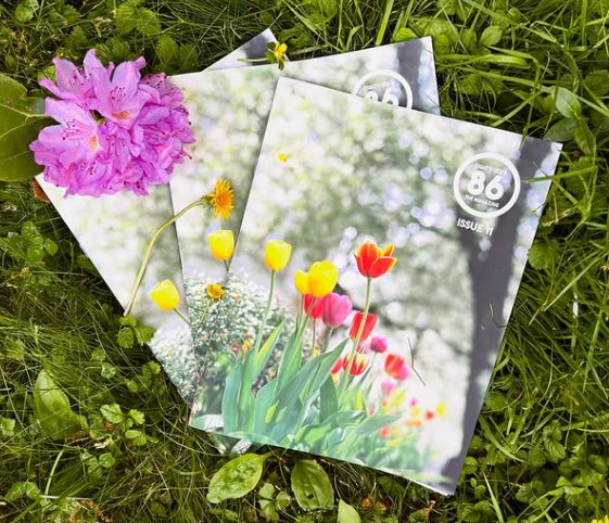 Eighty-Six'd Magazine #11